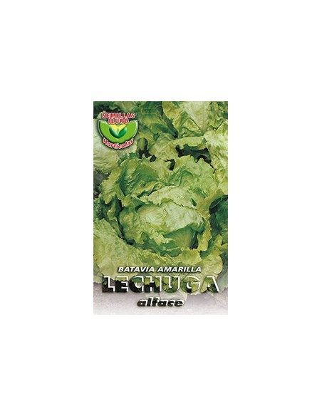 Lechuga Batavia Amarilla 7 gramos.