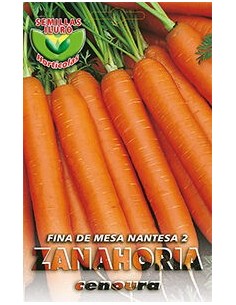 Zanahoria 7 gramos.
