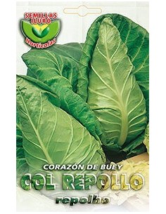Repollo Corazón de Buey 8 gramos.
