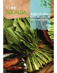 Nabo Lugo