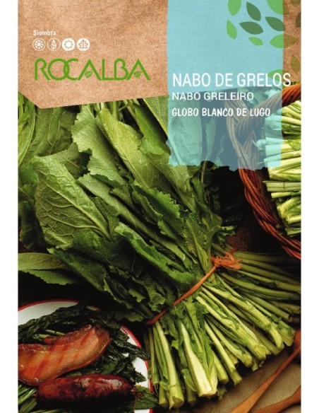 Nabo Lugo