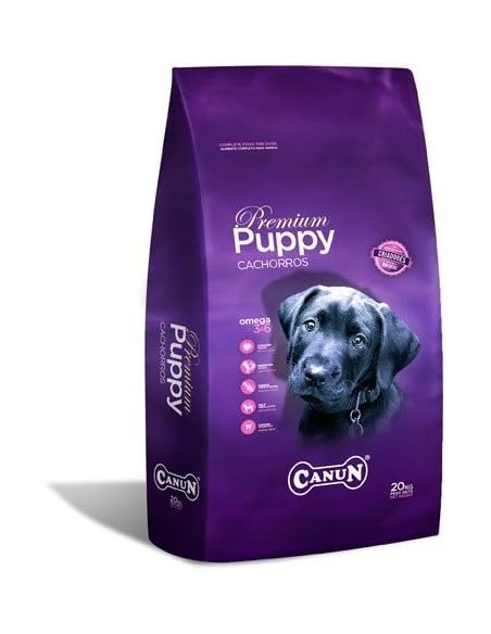 Canun Puppy