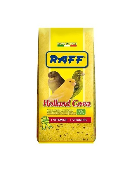 Pasta Cría Raff Holland Cova