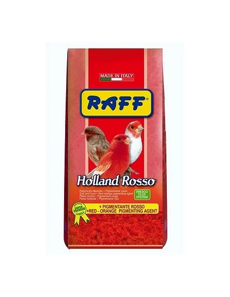 Pasta Cría Raff Holland Rosso