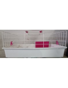 Jaula Conejos Ref. B80.