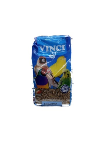 Cañamón