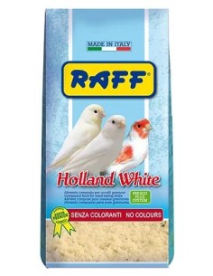 Pasta Cría Raff Holland White