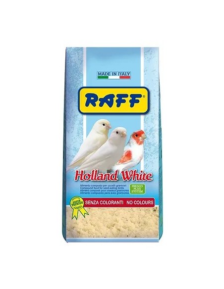 Pasta Cría Raff Holland White