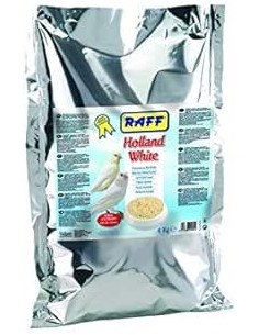 Pasta Cría Raff Holland White 2