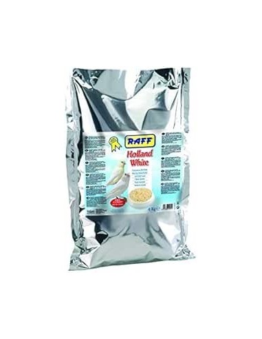 Pasta Cría Raff Holland White