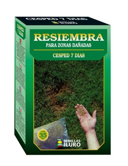 Césped 7 Días 1 Kg.