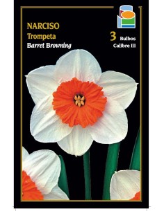Narciso Trompeta Barret Browning