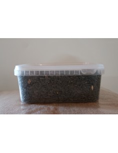 Pipa Negra Pequeña 2