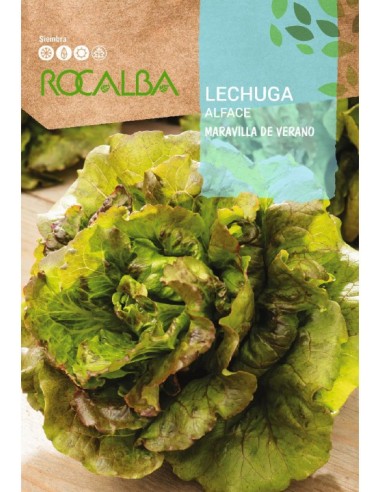Lechuga Maravilla de Verano 6 gr.