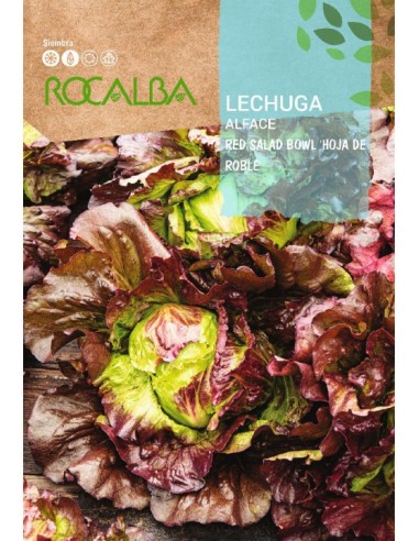 Lechuga Hoja de Roble 6 gr.