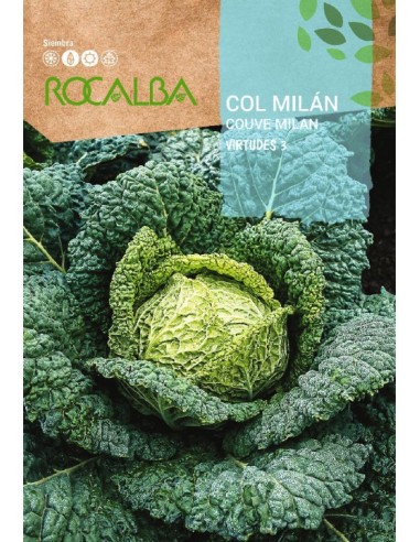 Col Repollo Milán 8 gr.