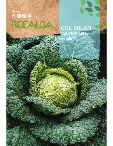 Col Repollo Milán 8 gr.