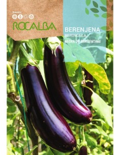 Berenjena Negra 3 gr.