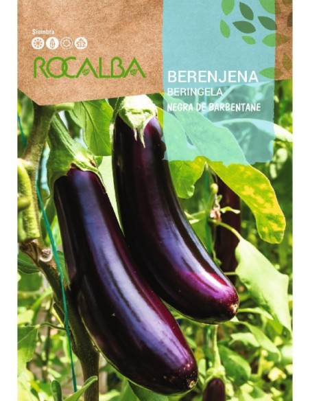 Berenjena Negra 3 gr.