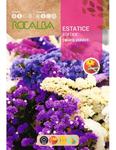 Estatice Sinuata Variada 1 gr.