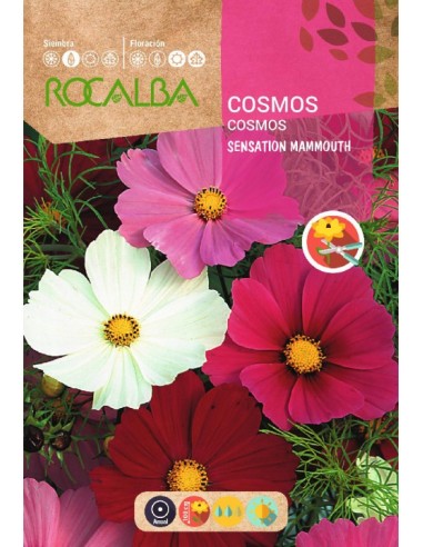 Cosmos 10 gr.