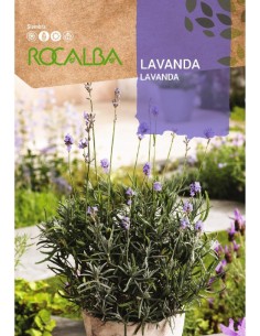 Lavanda 1 gr.