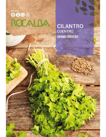 Cilantro 10 gr.