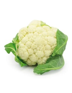 Planta Coliflor 12 unidades.