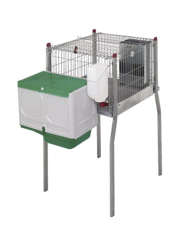 Jaula Conejos R. 11482